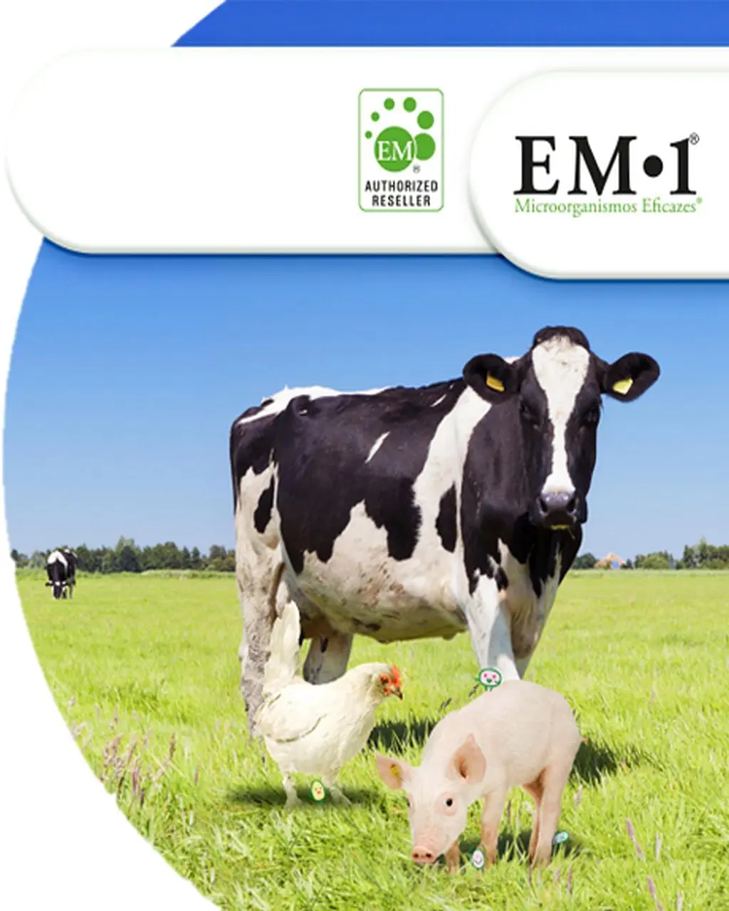 Pecuária sustentável EM•1®
